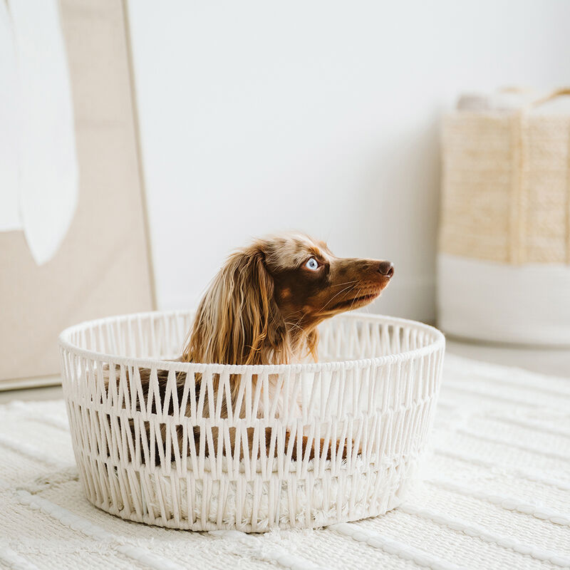 BeOneBreed, Rope Basket - Cream image number null