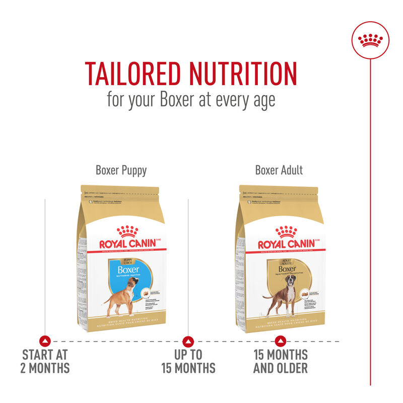 Royal Canin, Breed Health Nutrition Boxer Puppy - Dry Dog Food image number null