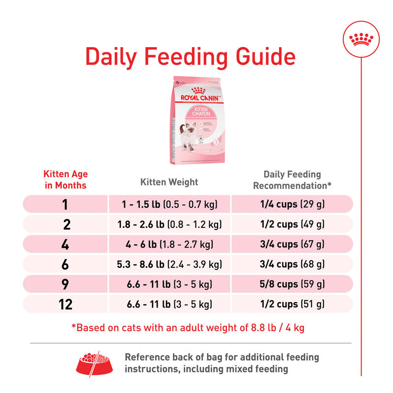 Royal Canin, Feline Health Nutrition Kitten Dry Cat Food - Dry Cat Food image number null