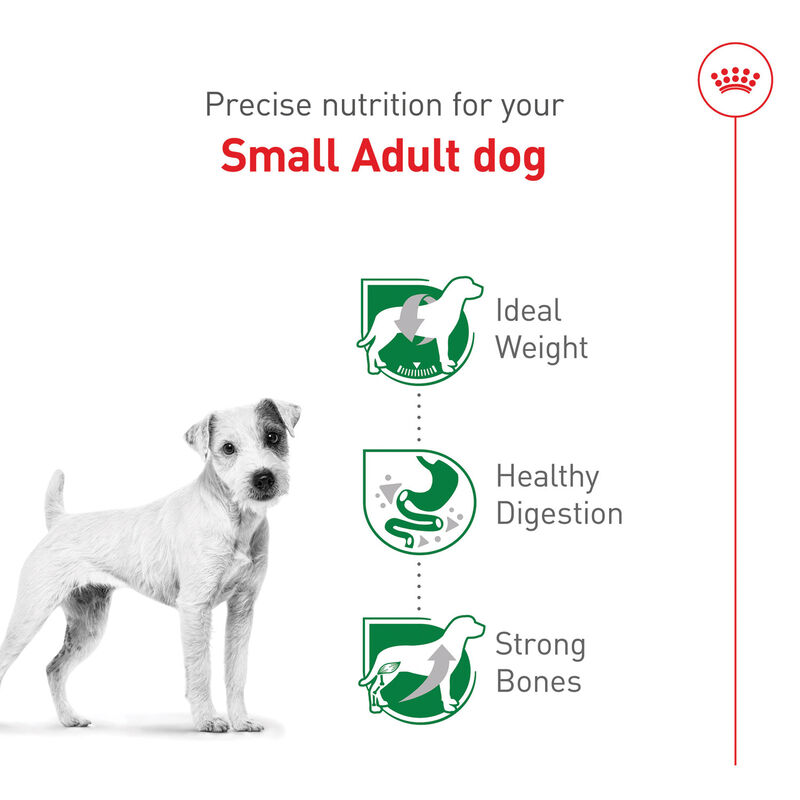 Royal Canin, Size Health Nutrition Small Breed Adult - Dry Dog Food image number null