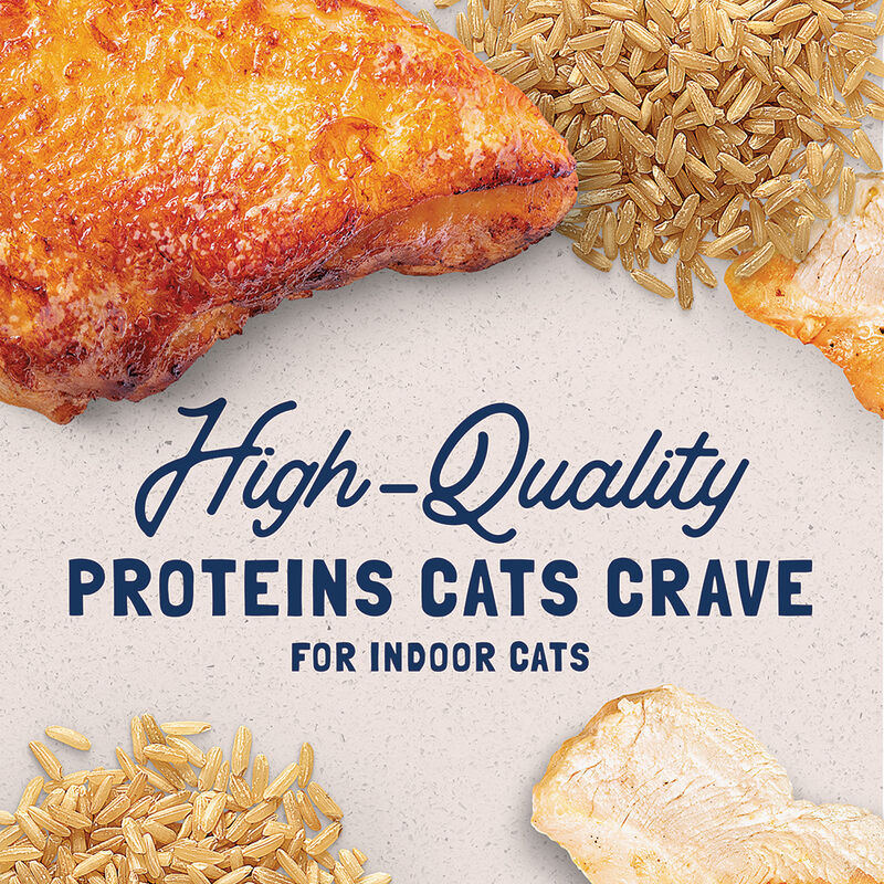Natural Balance, Cat Can Indoor  - 5.5 oz - Wet Cat Food image number null