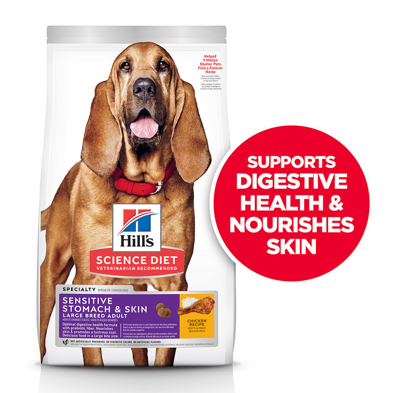 Science Diet, Adult Sensitive Stomach & Skin Large Breed Chicken Recipe Dry Dog Food - Dry Dog Food image number null
