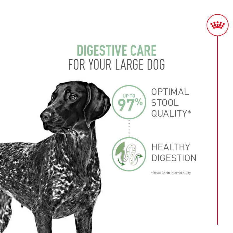 Royal Canin, Size Health Nutrition Large Digestive Care - Dry Dog Food image number null