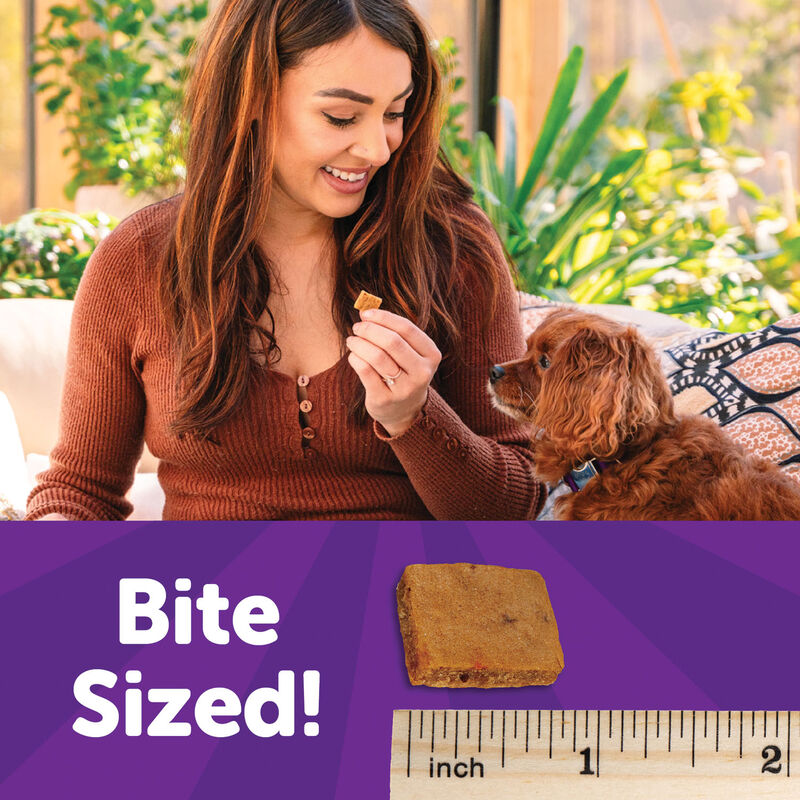 Wellness, Puppy Soft Bites - Lamb & Salmon - 227 g - Dog Treat image number null