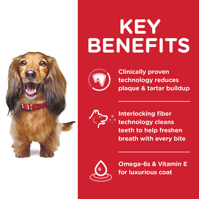 Science Diet, Adult Oral Care Chicken, Rice & Barley Recipe Dry Dog Food for dental health - Dry Dog image number null