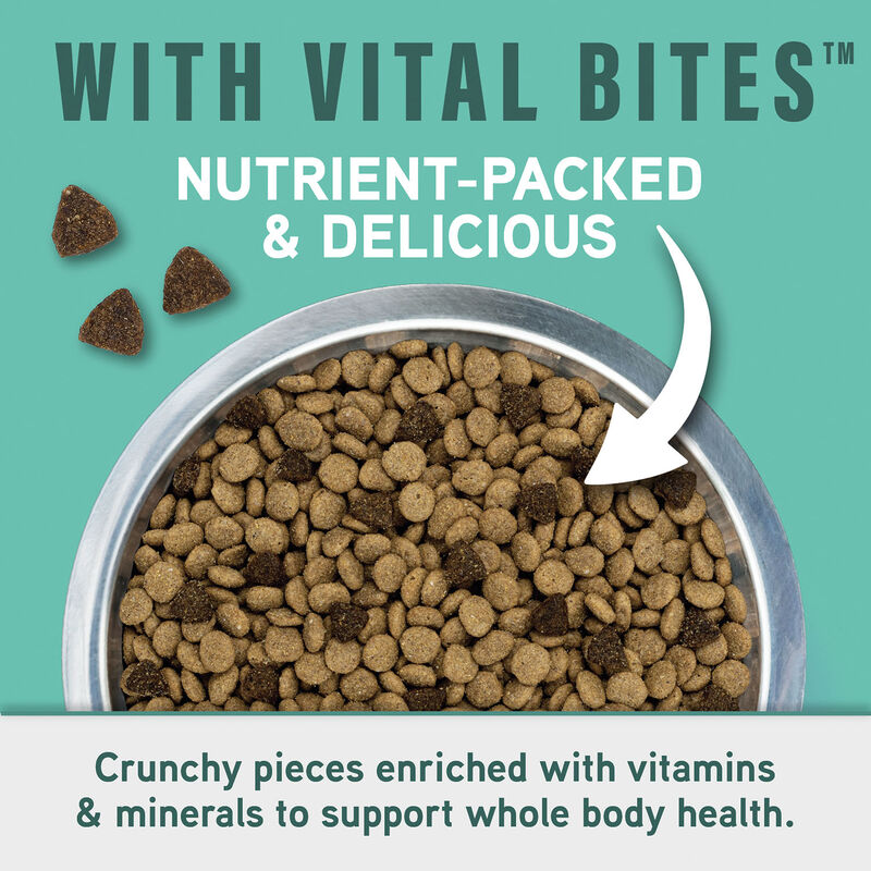 Natural Balance, Specialized Nutrition - Small Breed Digestive & Joint Health Chicken & Oatmeal Form image number null