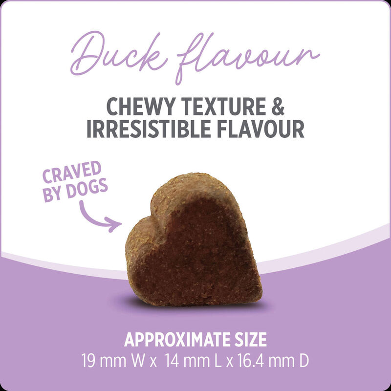 Nutrience, Hip & Joint Dog Supplement image number null