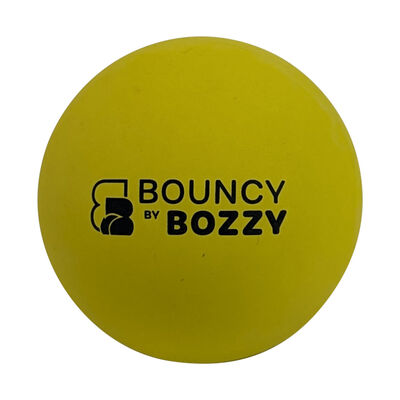 Bozzy Bouncy Ball for Dogs