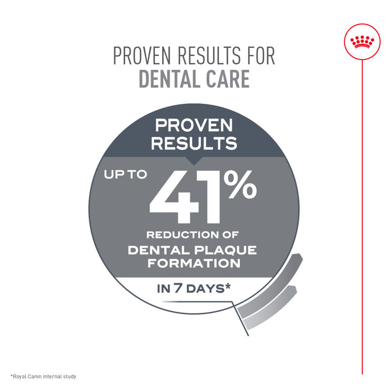 Royal Canin, Feline Care Nutrition - Dental Care - Dry Cat Food image number null