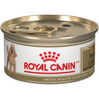Royal Canin, Breed Health Nutrition Poodle Adult - Dry Dog Food image number null