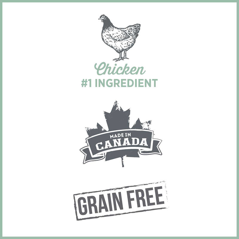 Nutrience, Care - Hairball Control - Chicken - 156 g - Wet Cat Food image number null