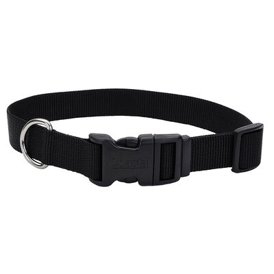 Adjustable Dog Collar with Plastic Buckle, Black, Small - 5/8" x 10"-14"