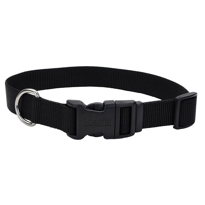 Coastal, Adjst Collar w/Plastic Buckle Black S - 5/8x10-14" - Dog Collar image number null