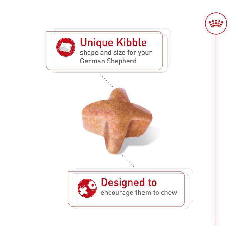 Royal Canin, Breed Health Nutrition German Shepherd Adult - Dry Dog Food image number null