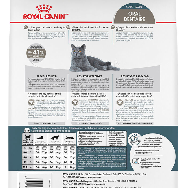 Royal Canin, Feline Care Nutrition - Dental Care - Dry Cat Food image number null