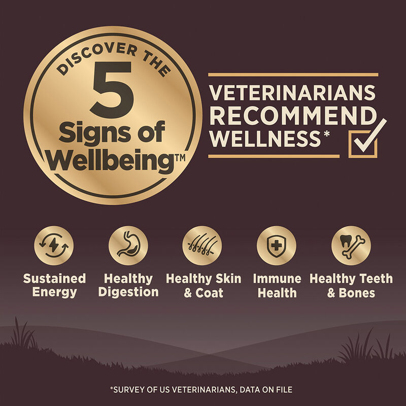 Wellness, Core, Grain Free Ocean - Dry Dog Food image number null
