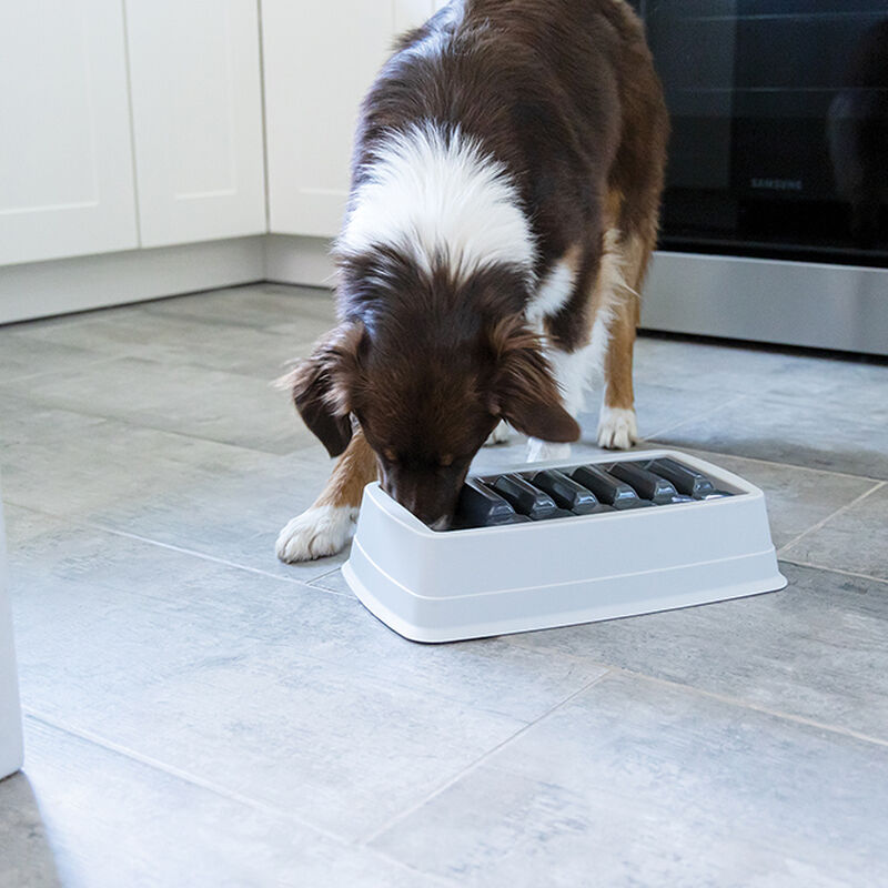 BeOneBreed, Drawer Slow Feeder Game - Dog Bowl image number null