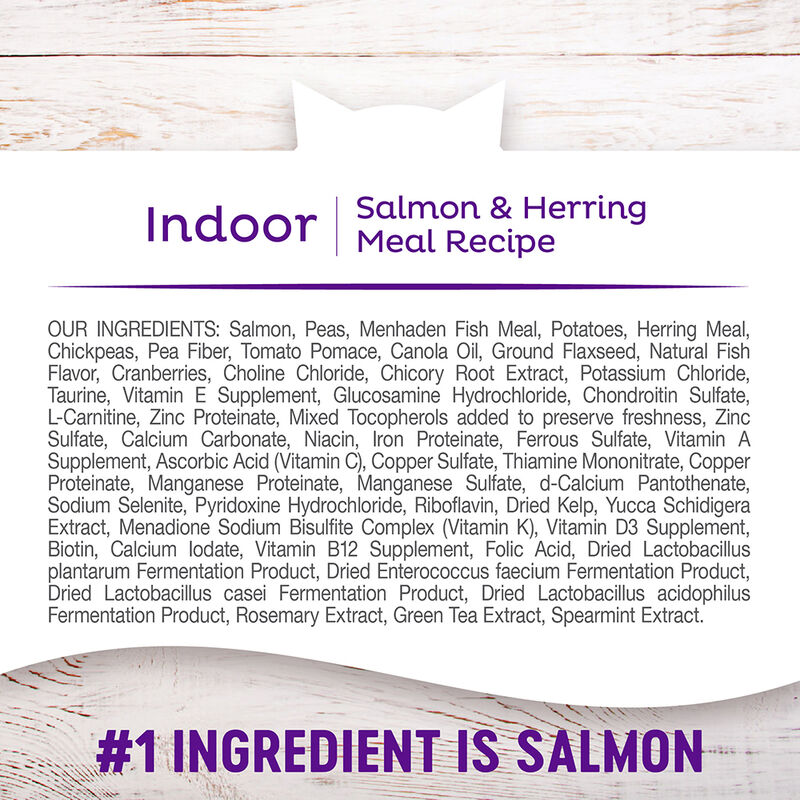 Wellness, Feline Adult - Grain Free -Complete Health - Indoor - Salmon & Herring Meal Recipe - Dry C image number null