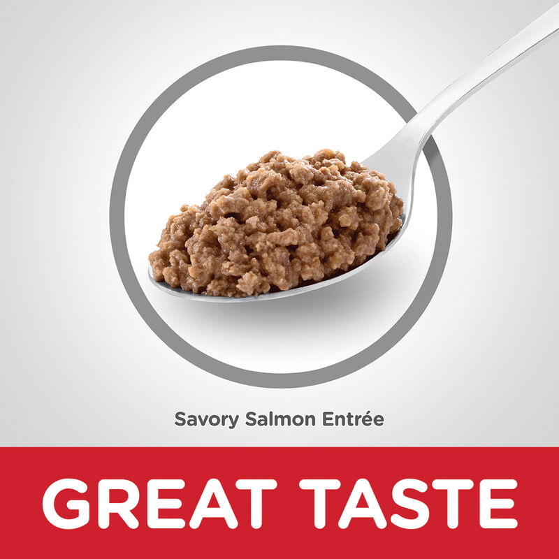 Science Diet, Adult Savory Salmon Canned Cat Food, 156g - Wet Cat Food image number null