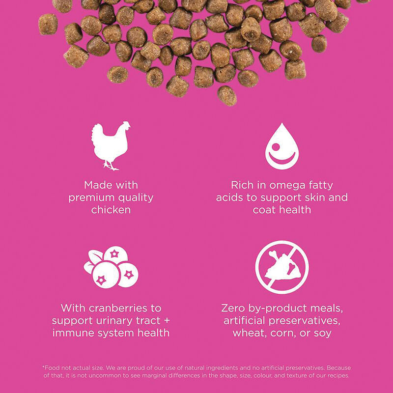 GO! SOLUTIONS SKIN + COAT CARE Chicken Recipe for cats image number null
