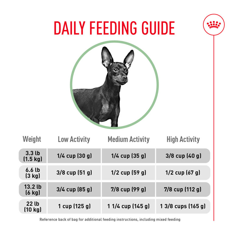 Royal Canin, Size Health Nutrition Small Digestive Care - Dry Dog Food image number null