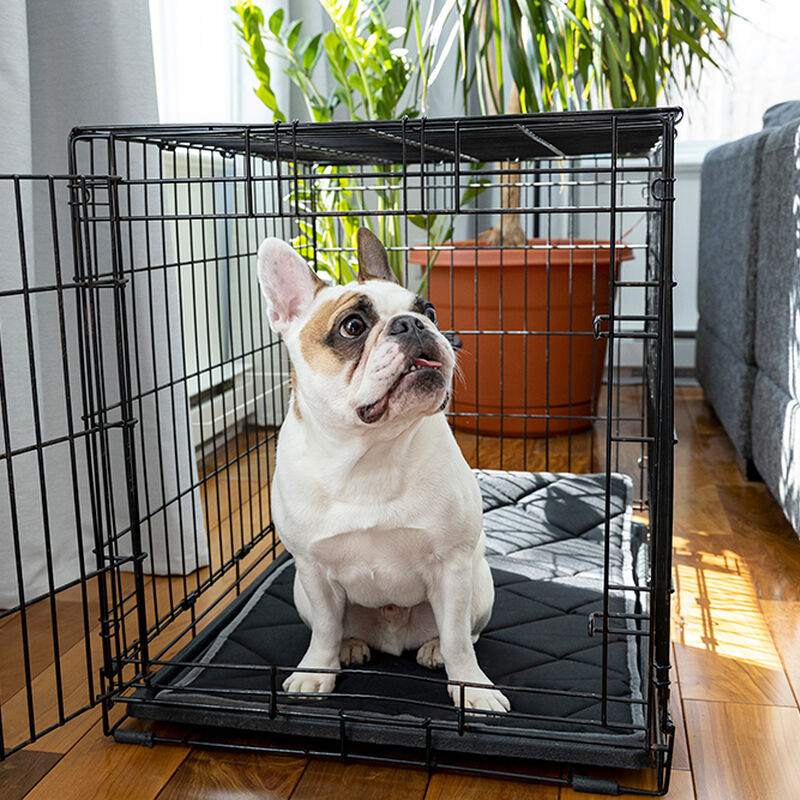 BeOneBreed, Orthopedic and Reversible Cage Bed, Dog Mats & Accessories image number null