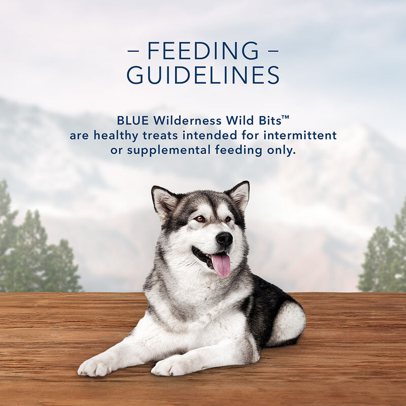 Blue Buffalo, Wilderness Wild Bits - Salmon - 113 g - Dog Treat image number null