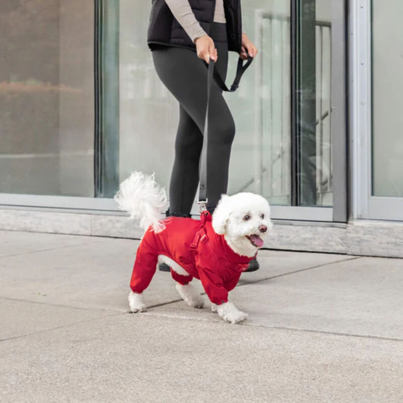 Canada Pooch, Harness Snowsuit - Red image number null