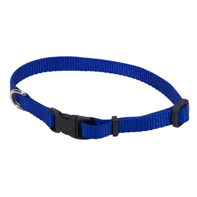 Adjustable Dog Collar with Plastic Buckle, Blue, Extra Small - 3/8" x 8"-12"