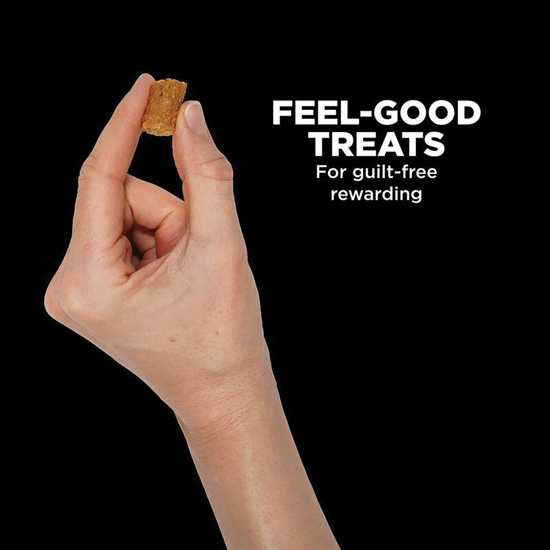 Go! Solutions,Benefit Chews - Sensitivities Limited Ingredient Salmon Dog Treats - 170 g image number null