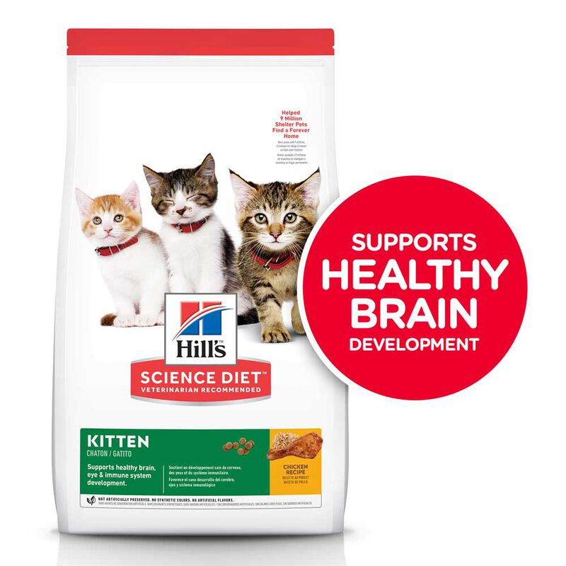 Science Diet, Kitten Chicken Recipe Dry Cat Food - Dry Cat Food image number null