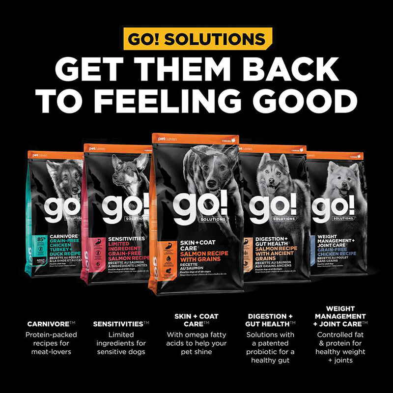 GO! SOLUTIONS SKIN + COAT CARE Salmon Recipe for dogs image number null