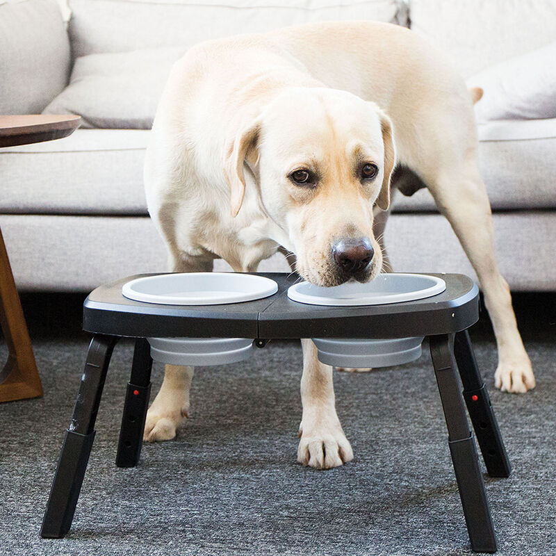 Trip to Go Portable Collapsible Dog Double Feeder image number null