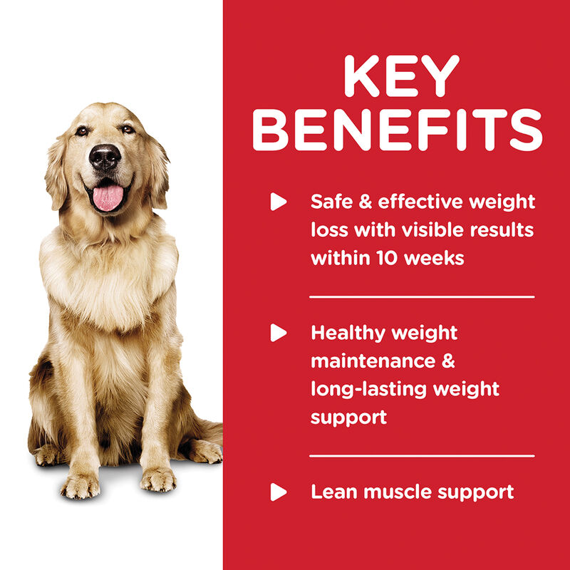 Science Diet, Adult Perfect Weight Chicken & Vegetable Canned Dog Food for healthy weight management image number null