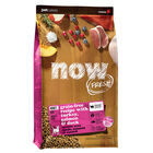 NOW FRESH, Feline Adult Grain Free - Dry Cat Food image number null