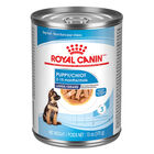 Royal Canin, Size Health Nutrition Large Puppy Chunks in Gravy 12/13oz - Wet Dog Food image number null