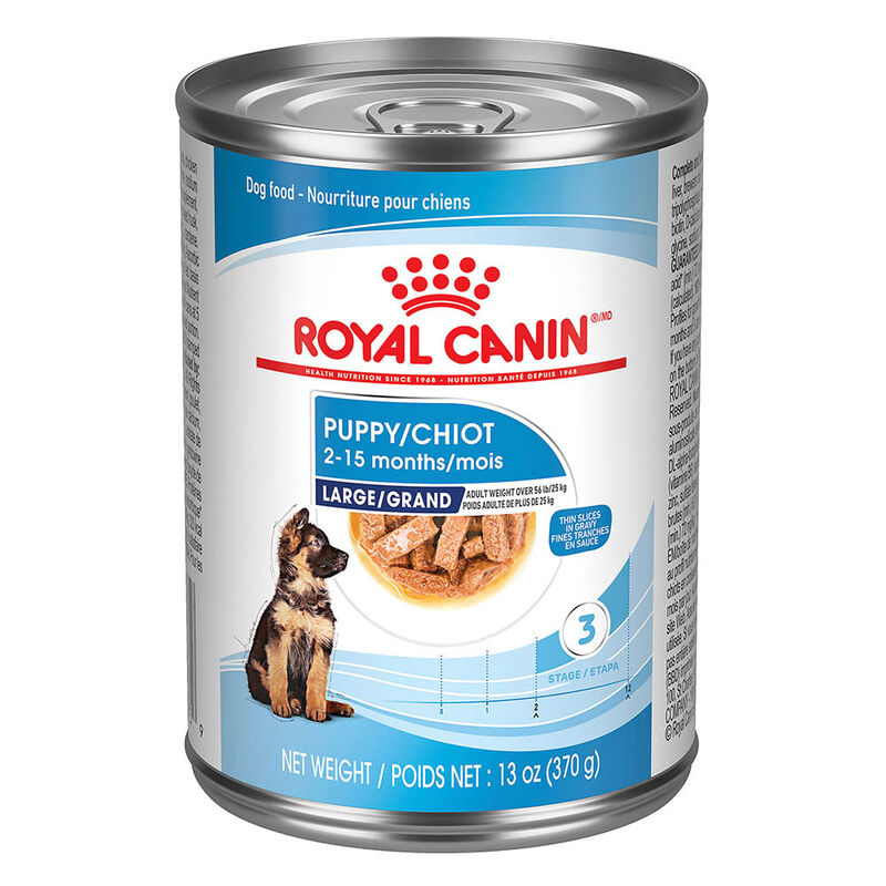 Royal Canin, Size Health Nutrition Large Puppy Chunks in Gravy 12/13oz - Wet Dog Food image number null