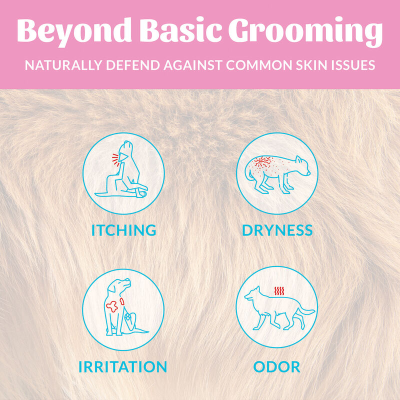 Skouts Honor, Happy Puppy - Shampoo&Conditioner - Lilac - 16 oz image number null