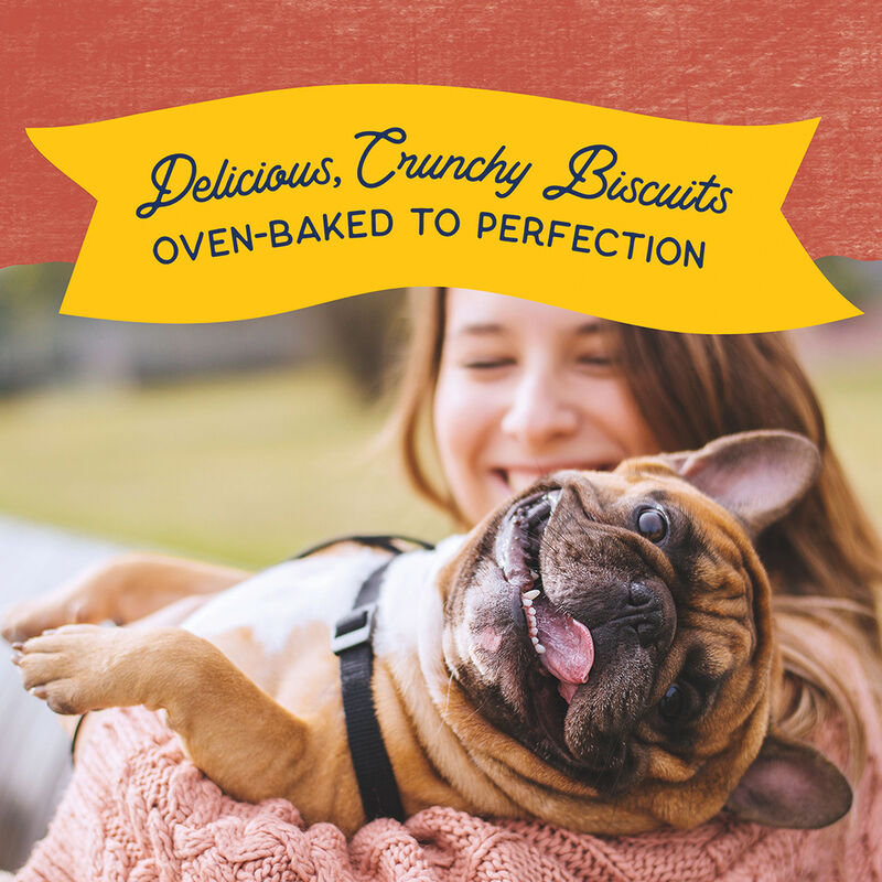 Natural Balance, Limited Ingredient Dog Treats Small Breed, Sweet Potato & Fish - Dog Biscuit image number null