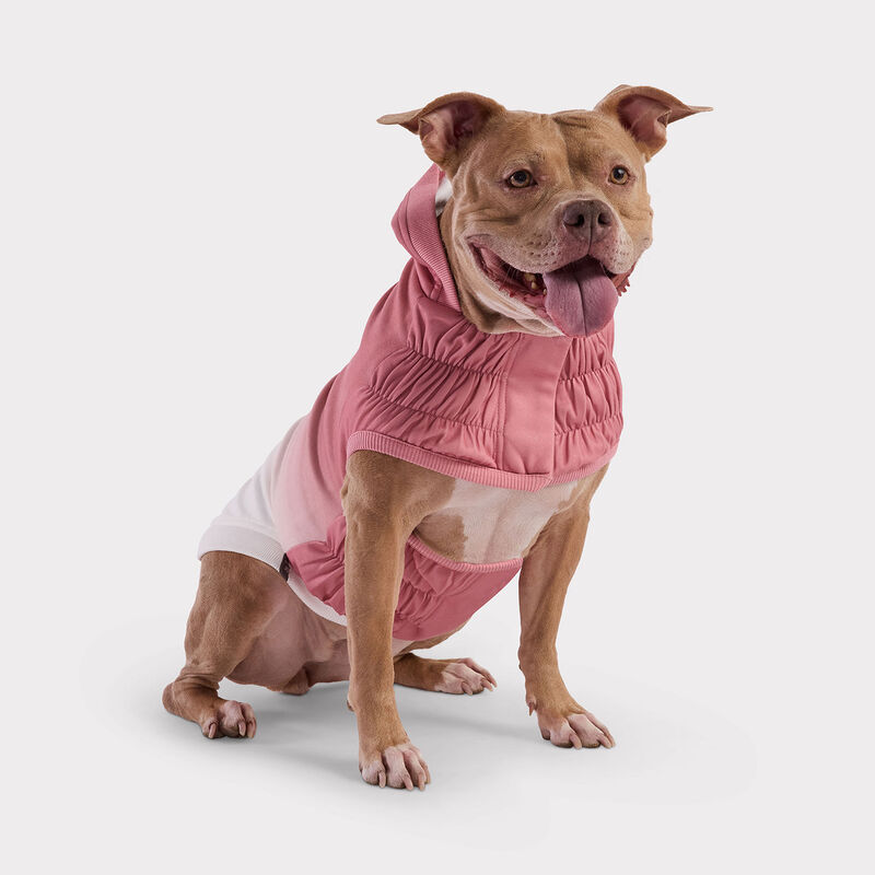 GF Pet, Good Vibes Hoodie - Pink image number null