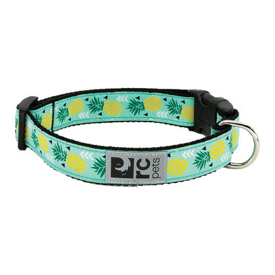 RC Pets, Clip Collar - Pineapple Parade - 5/8" Width - X-Small - Dog Collar