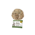 Living World, Small Animal Chew Toy - Ball image number null