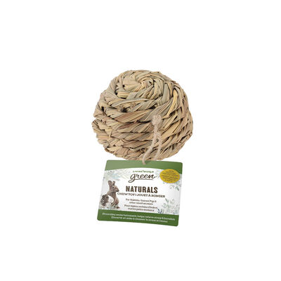 Living World, Small Animal Chew Toy - Ball