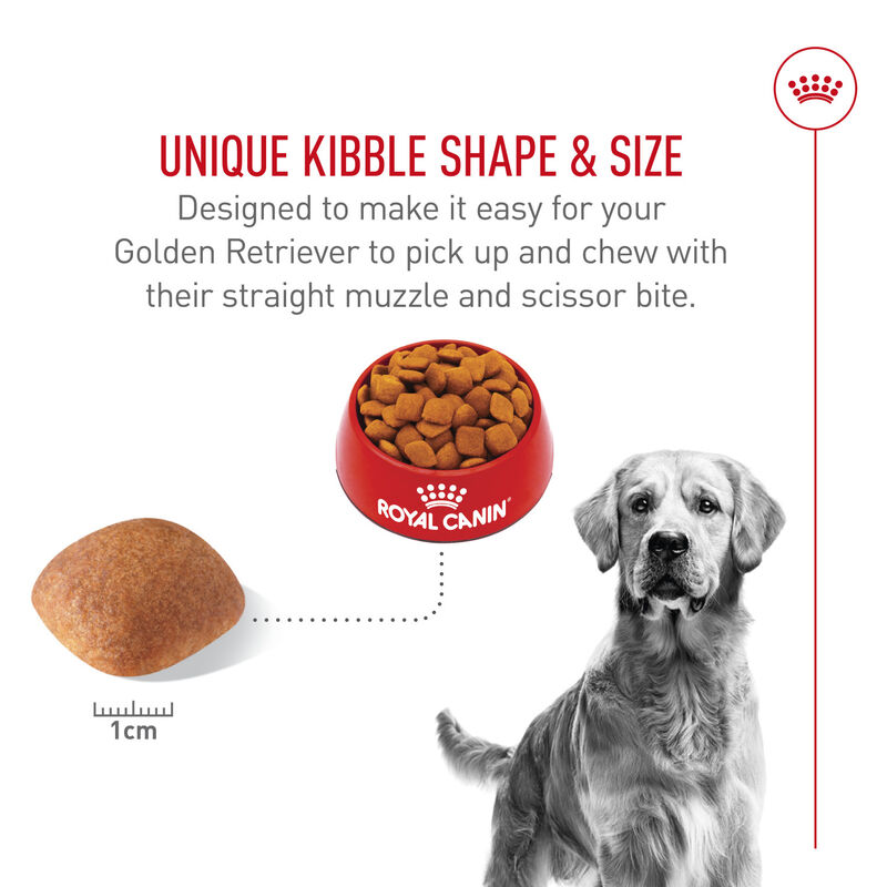 Royal Canin, Breed Health Nutrition Golden Retriever Adult - Dry Dog Food image number null