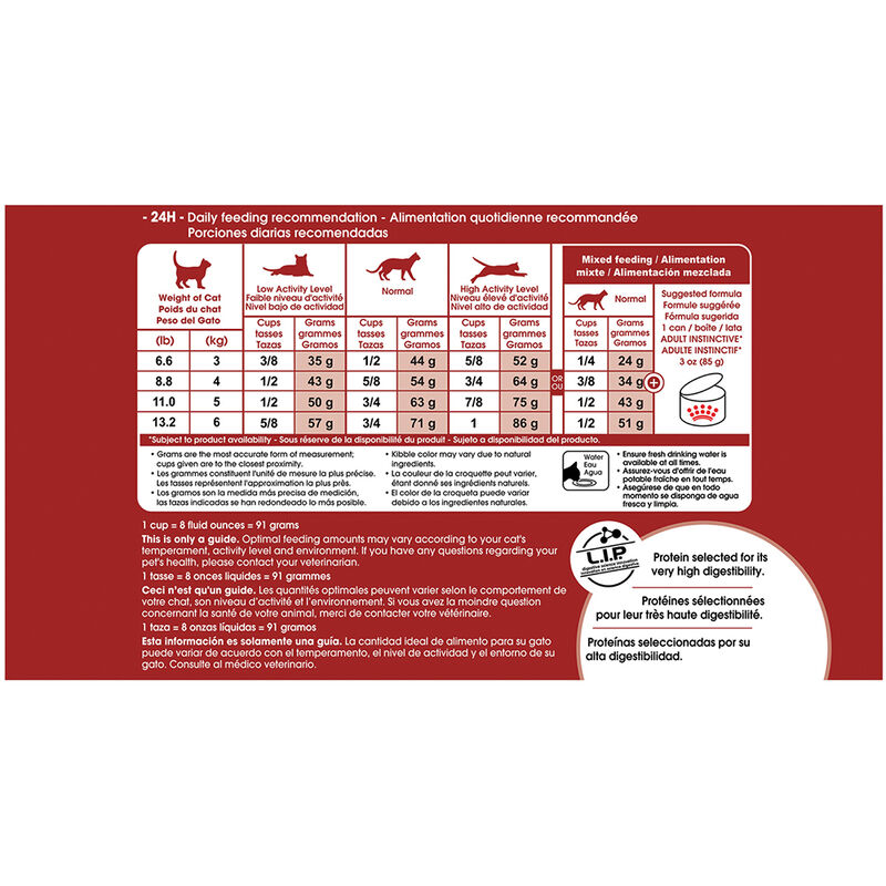 Royal Canin, Feline Health Nutrition Fit And Active Dry Adult - Dry Cat Food image number null