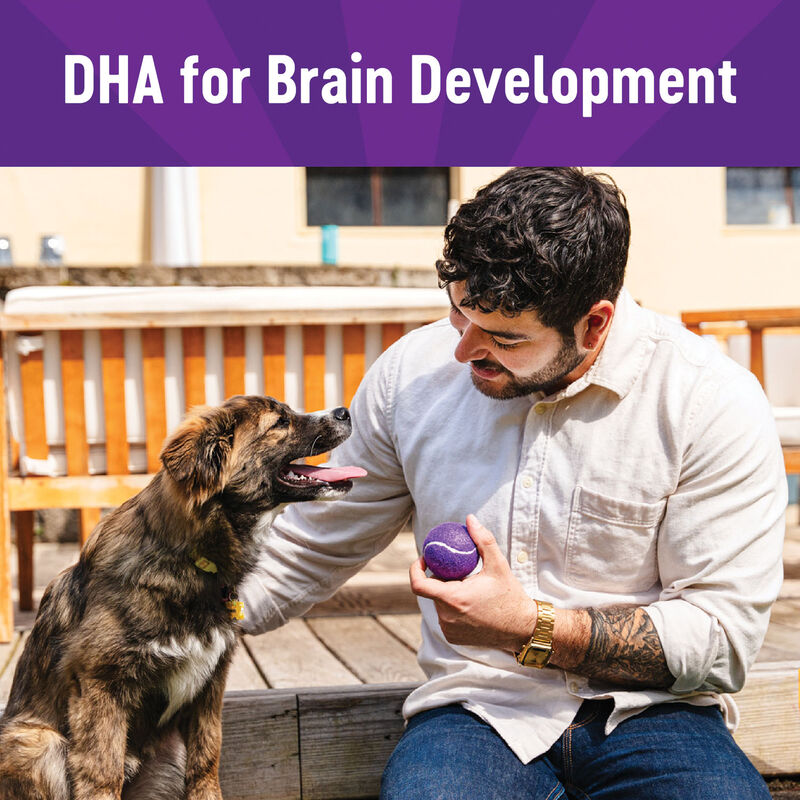 Wellness, Puppy Soft Bites - Lamb & Salmon - 227 g - Dog Treat image number null