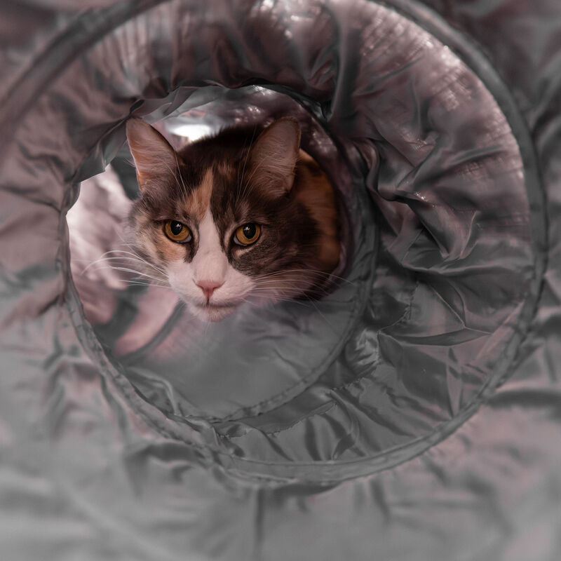 Zoom Pets, 2-in-1 Tunnel Bed - Grey Fur image number null