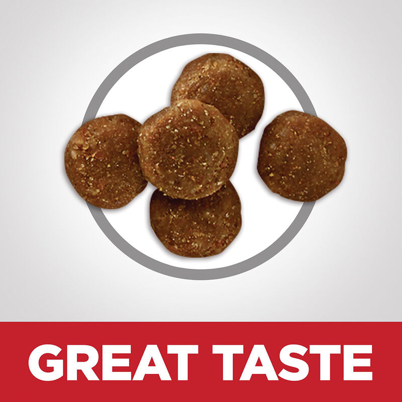 Science Diet, Feline Adult 7+ - Perfect Digestion Chicken - Dry Cat Food image number null