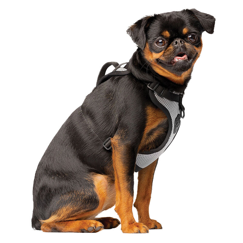 Canada Pooch, Everything Harness - Reflective Mesh - Dog Harness image number null