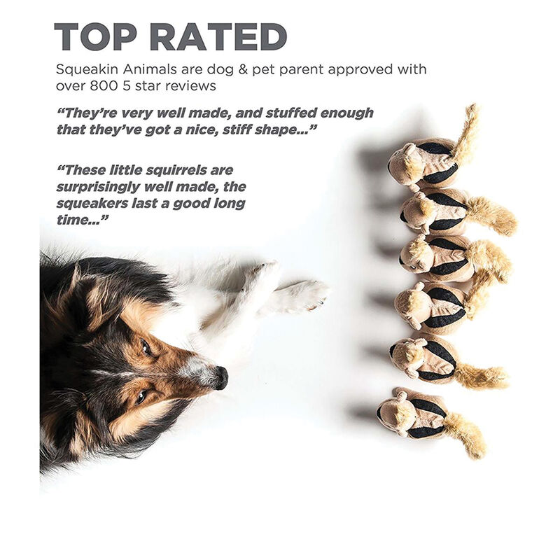 Squeakin' Animals Squirrel - Brown - 3 Pk image number null